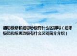 细思极恐和细思恐极有什么区别吗（细思极恐和细思恐极有什么区别简介介绍）