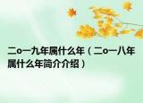 二o一九年属什么年（二o一八年属什么年简介介绍）