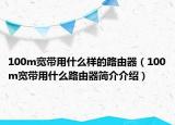 100m宽带用什么样的路由器（100m宽带用什么路由器简介介绍）