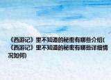 《西游记》里不知道的秘密有哪些介绍(《西游记》里不知道的秘密有哪些详细情况如何)