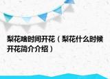 梨花啥时间开花（梨花什么时候开花简介介绍）