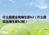 什么蔬菜含有维生素b2（什么蔬菜含维生素b2呢）