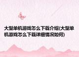 大型单机游戏怎么下载介绍(大型单机游戏怎么下载详细情况如何)