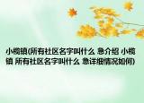小榄镇(所有社区名字叫什么 急介绍 小榄镇 所有社区名字叫什么 急详细情况如何)