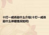 十打一成语是什么介绍(十打一成语是什么详细情况如何)