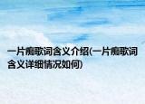 一片痴歌词含义介绍(一片痴歌词含义详细情况如何)