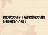 摘抄优美句子（经典爱情美句摘抄短句简介介绍）