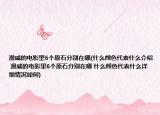 漫威的电影里6个原石分别在哪(什么颜色代表什么介绍 漫威的电影里6个原石分别在哪 什么颜色代表什么详细情况如何)