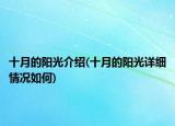 十月的阳光介绍(十月的阳光详细情况如何)