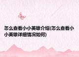 怎么查看小小英雄介绍(怎么查看小小英雄详细情况如何)