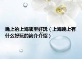 晚上的上海哪里好玩（上海晚上有什么好玩的简介介绍）