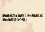 浙h是哪里的牌照（浙h是浙江哪里的牌照简介介绍）