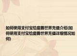 如何使用支付宝给魔兽世界充值介绍(如何使用支付宝给魔兽世界充值详细情况如何)