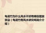 龟背竹为什么风水不好有哪些摆放禁忌（龟背竹有风水讲究吗简介介绍）