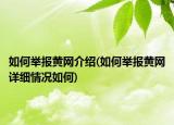 如何举报黄网介绍(如何举报黄网详细情况如何)