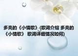 多亮的《小情歌》(歌词介绍 多亮的《小情歌》 歌词详细情况如何)