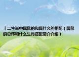 十二生肖中属鼠的和属什么的相配（属鼠的忌讳和什么生肖搭配简介介绍）