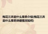 梅花三弄是什么意思介绍(梅花三弄是什么意思详细情况如何)