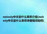 nobody中文是什么意思介绍(nobody中文是什么意思详细情况如何)