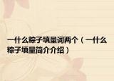 一什么粽子填量词两个（一什么粽子填量简介介绍）