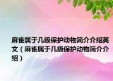 麻雀属于几级保护动物简介介绍英文（麻雀属于几级保护动物简介介绍）
