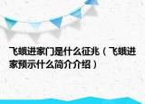 飞蛾进家门是什么征兆（飞蛾进家预示什么简介介绍）