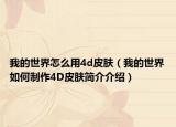 我的世界怎么用4d皮肤（我的世界如何制作4D皮肤简介介绍）