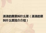 滑滑的蔬菜叫什么菜（滑滑的菜叫什么菜简介介绍）