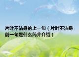 片叶不沾身的上一句（片叶不沾身前一句是什么简介介绍）