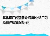 氧化铝厂闪蒸器介绍(氧化铝厂闪蒸器详细情况如何)