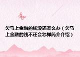 欠马上金融的钱没还怎么办（欠马上金融的钱不还会怎样简介介绍）