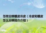 怎样分辨暖皮冷皮（冷皮和暖皮怎么分辨简介介绍）