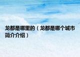 龙都是哪里的（龙都是哪个城市简介介绍）
