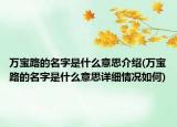万宝路的名字是什么意思介绍(万宝路的名字是什么意思详细情况如何)