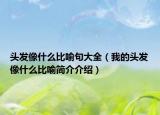 头发像什么比喻句大全（我的头发像什么比喻简介介绍）