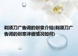 剃须刀广告词的创意介绍(剃须刀广告词的创意详细情况如何)