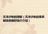 天净沙秋的理解（天净沙秋的意思越简单越好简介介绍）