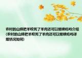 农村的山蜂把羊咬死了羊肉还可以继续吃吗介绍(农村的山蜂把羊咬死了羊肉还可以继续吃吗详细情况如何)
