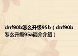 dnf90b怎么升级95b（dnf90b怎么升级95a简介介绍）