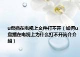 u盘插在电视上文件打不开（如何u盘插在电视上为什么打不开简介介绍）