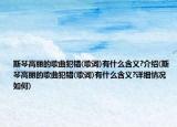 斯琴高丽的歌曲犯错(歌词)有什么含义?介绍(斯琴高丽的歌曲犯错(歌词)有什么含义?详细情况如何)