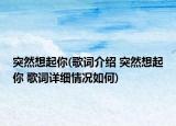 突然想起你(歌词介绍 突然想起你 歌词详细情况如何)