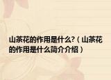 山茶花的作用是什么?（山茶花的作用是什么简介介绍）