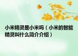 小米精灵是小米吗（小米的智能精灵叫什么简介介绍）