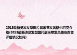 2013最新烫发发型图片展示卷发风格也百变介绍(2013最新烫发发型图片展示卷发风格也百变详细情况如何)