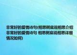 非常好的爱情诗句(相思树底说相思介绍 非常好的爱情诗句 相思树底说相思详细情况如何)