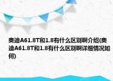 奥迪A61.8T和1.8有什么区别啊介绍(奥迪A61.8T和1.8有什么区别啊详细情况如何)
