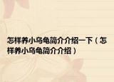 怎样养小乌龟简介介绍一下（怎样养小乌龟简介介绍）