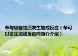 苯与哪些物质发生加成反应（苯可以发生加成反应吗简介介绍）