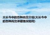 大长今中的各种尚宫介绍(大长今中的各种尚宫详细情况如何)